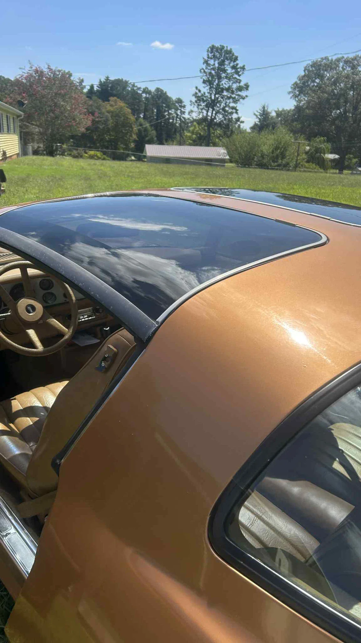 Chevrolet-Camaro-z28-coupe-1978-Brown-Brown-6
