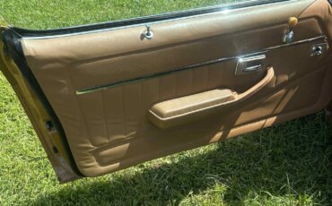 Chevrolet-Camaro-z28-coupe-1978-Brown-Brown-7