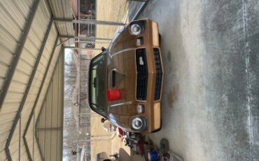 Chevrolet-Camaro-z28-coupe-1978-Brown-Brown-8