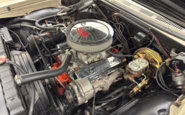 Chevrolet-Caprice-1966-Cameo-Beige-Fawn-1