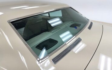 Chevrolet-Caprice-1966-Cameo-Beige-Fawn-21