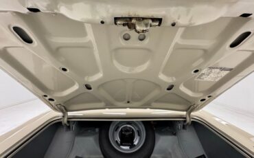 Chevrolet-Caprice-1966-Cameo-Beige-Fawn-24