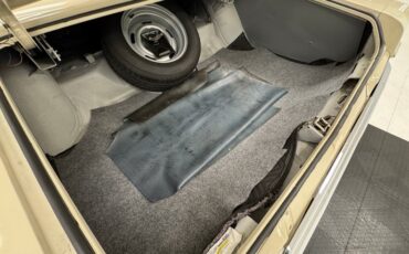 Chevrolet-Caprice-1966-Cameo-Beige-Fawn-25