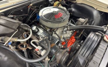 Chevrolet-Caprice-1966-Cameo-Beige-Fawn-47