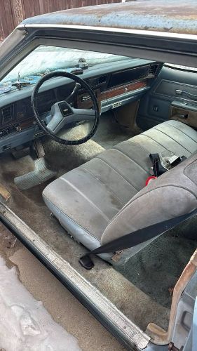 Chevrolet-Caprice-1979-Blue-9