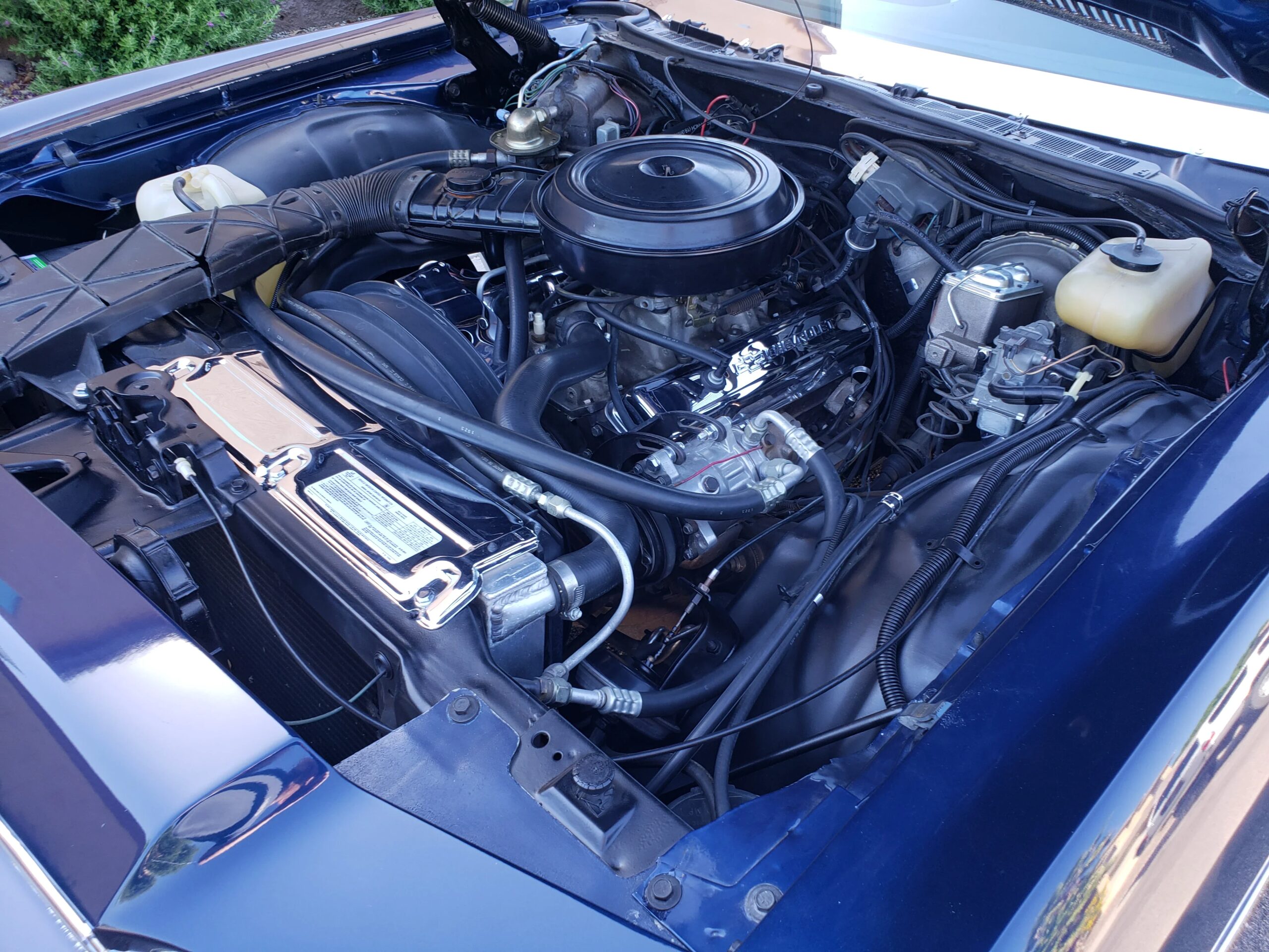 Chevrolet-Caprice-classic-coupe-1976-Blue-Blue-10