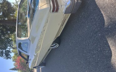 Chevrolet-Caprice-classic-coupe-1976-Yellow-Beige-30