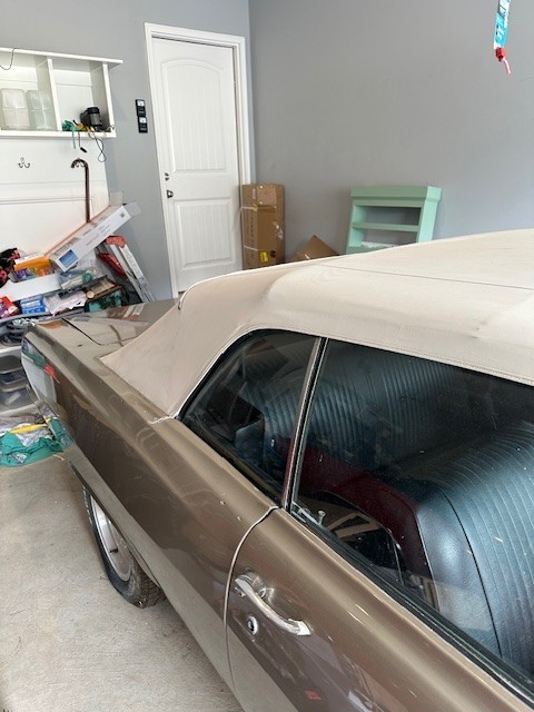 Chevrolet-Chevelle-1964-Convertible-11