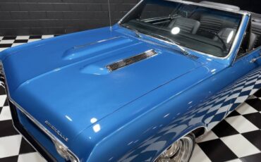 Chevrolet-Chevelle-1967-Convertible-17