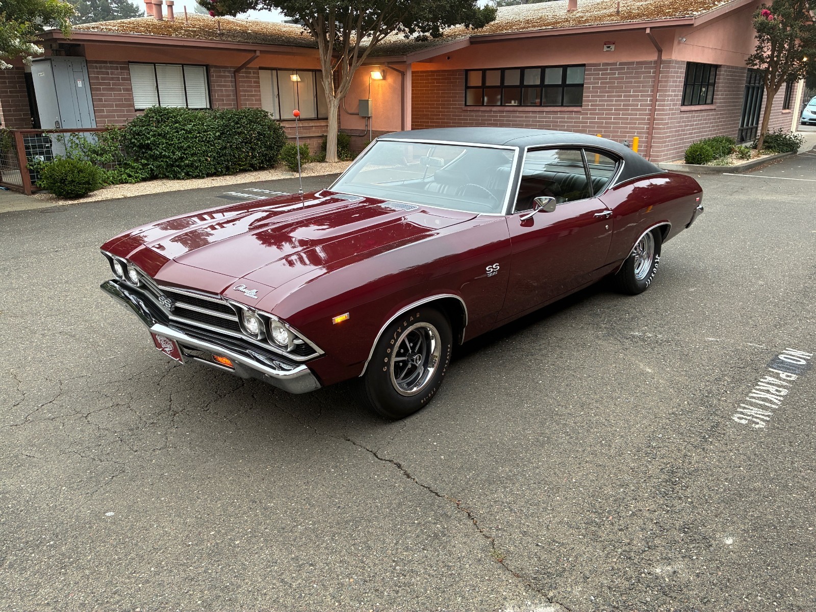 Chevrolet-Chevelle-1969-Coupe-5