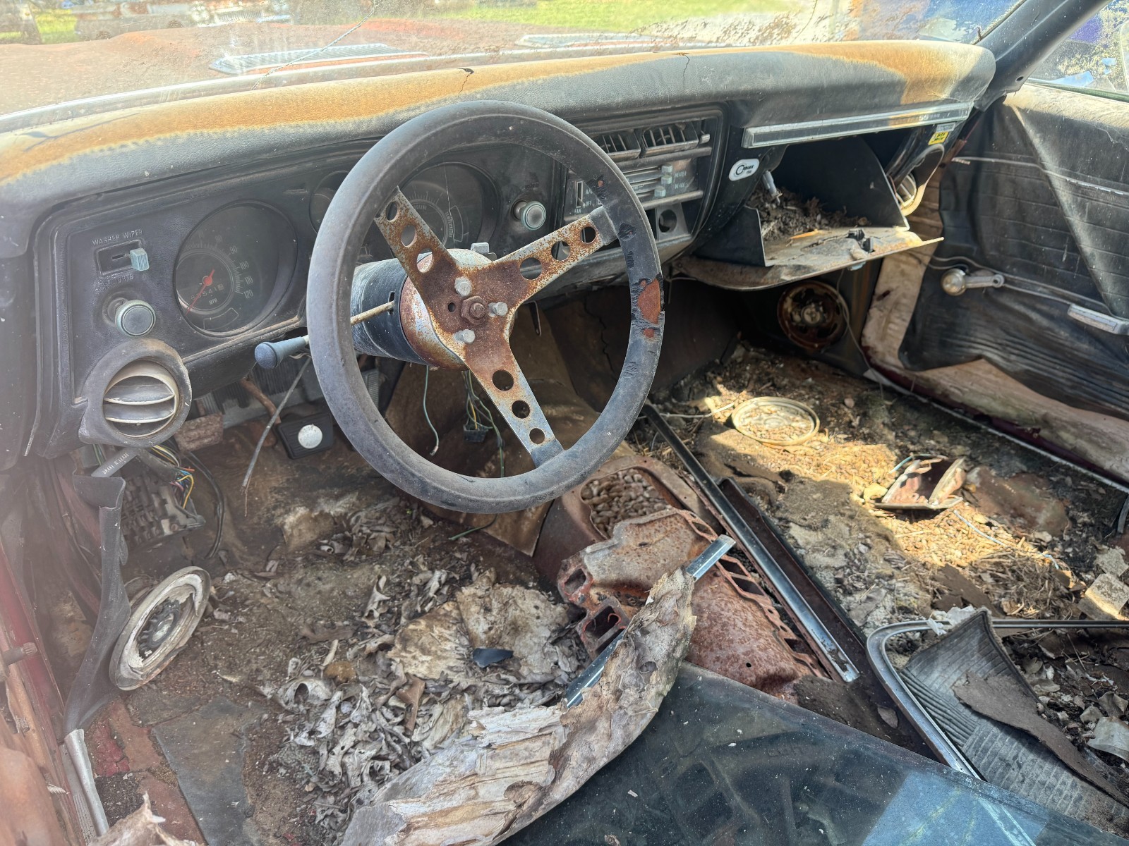Chevrolet-Chevelle-1969-Coupe-6