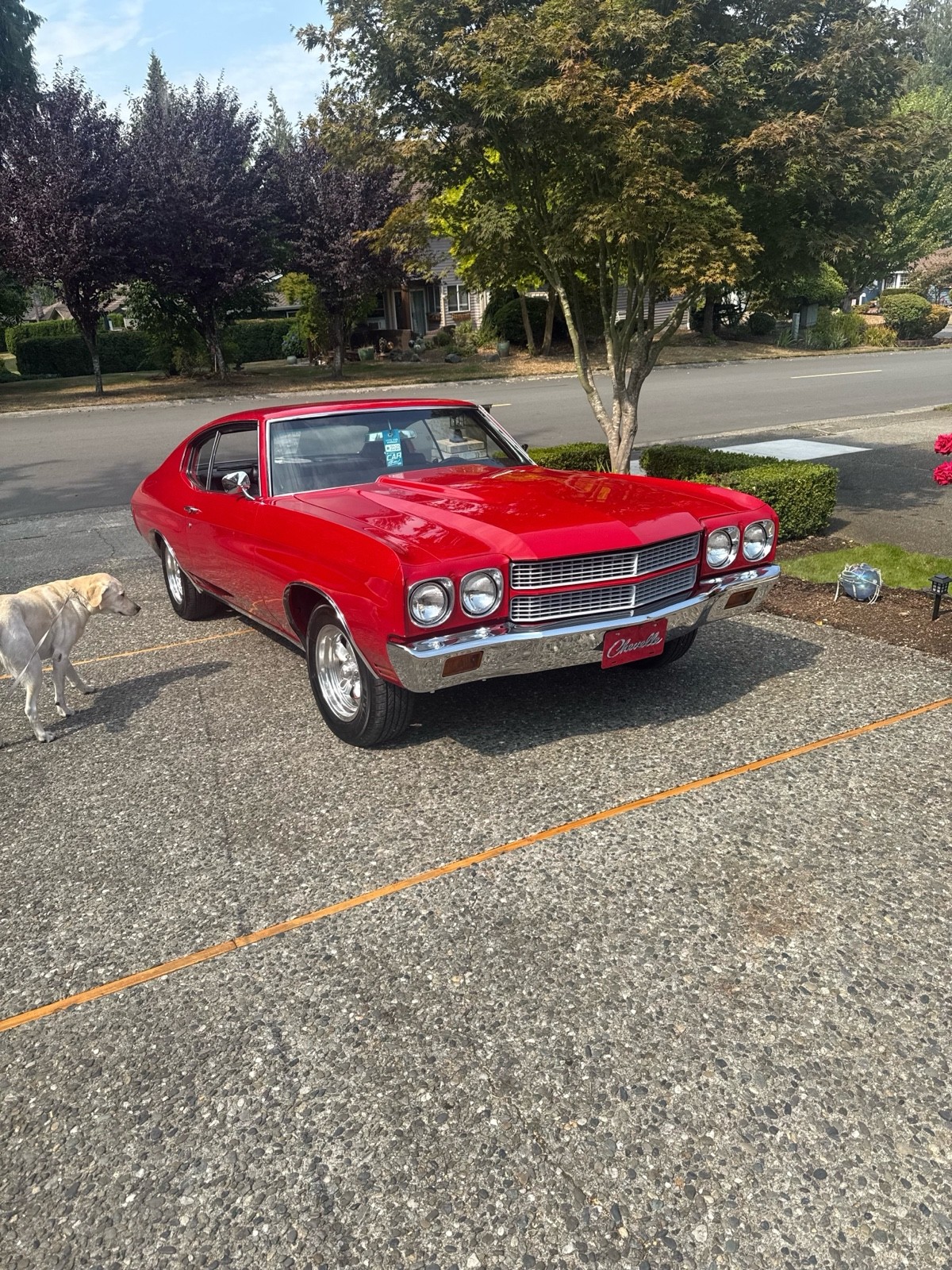 Chevrolet-Chevelle-1970-16