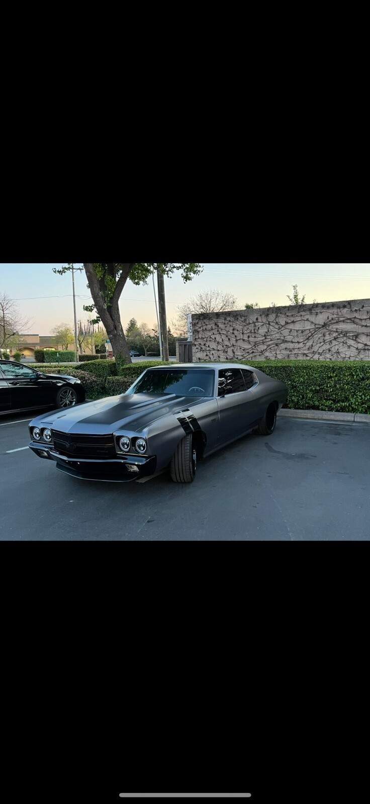 Chevrolet-Chevelle-1970-Coupe-6
