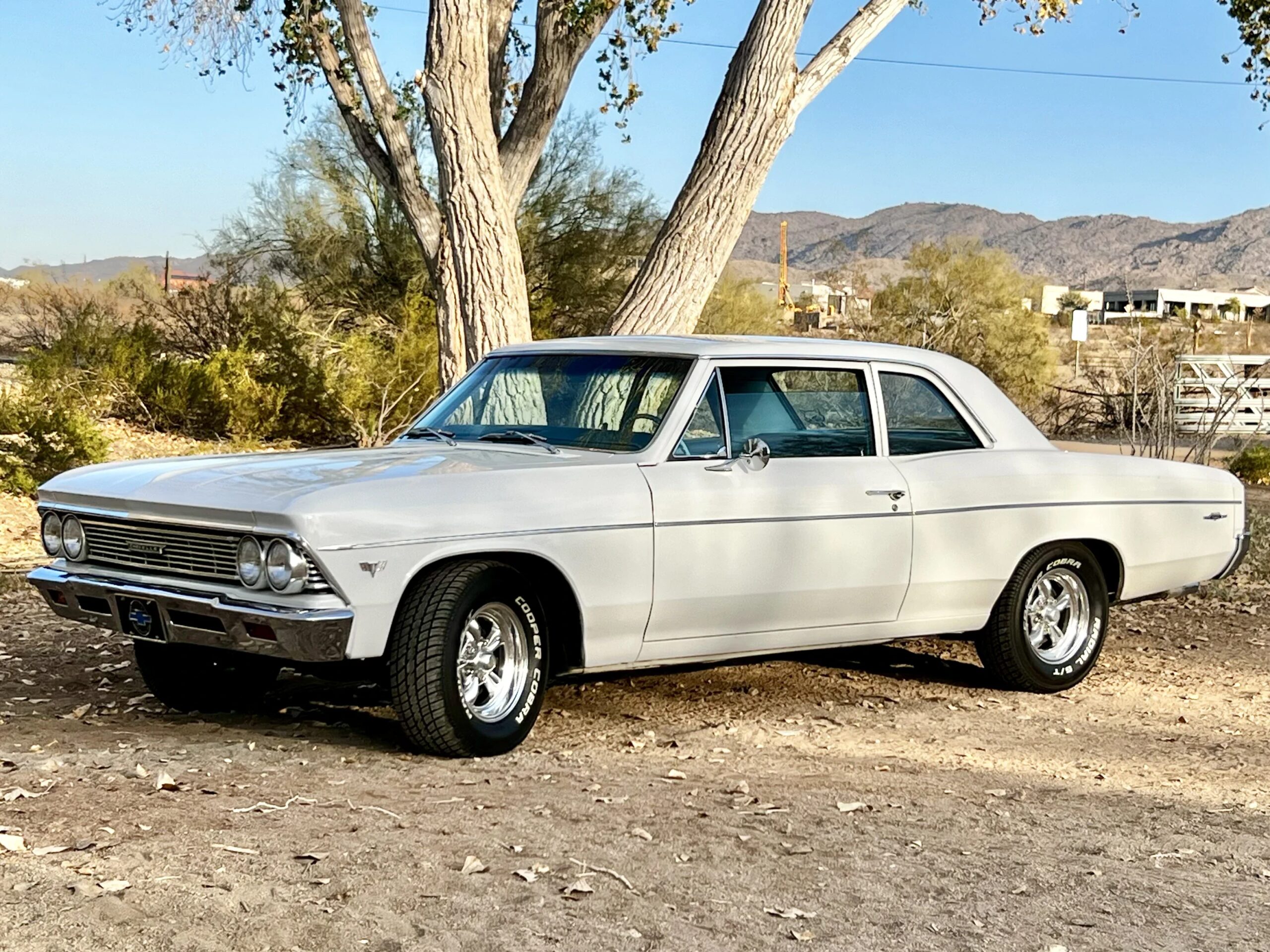 Chevrolet-Chevelle-300-1966-White-Blue-1