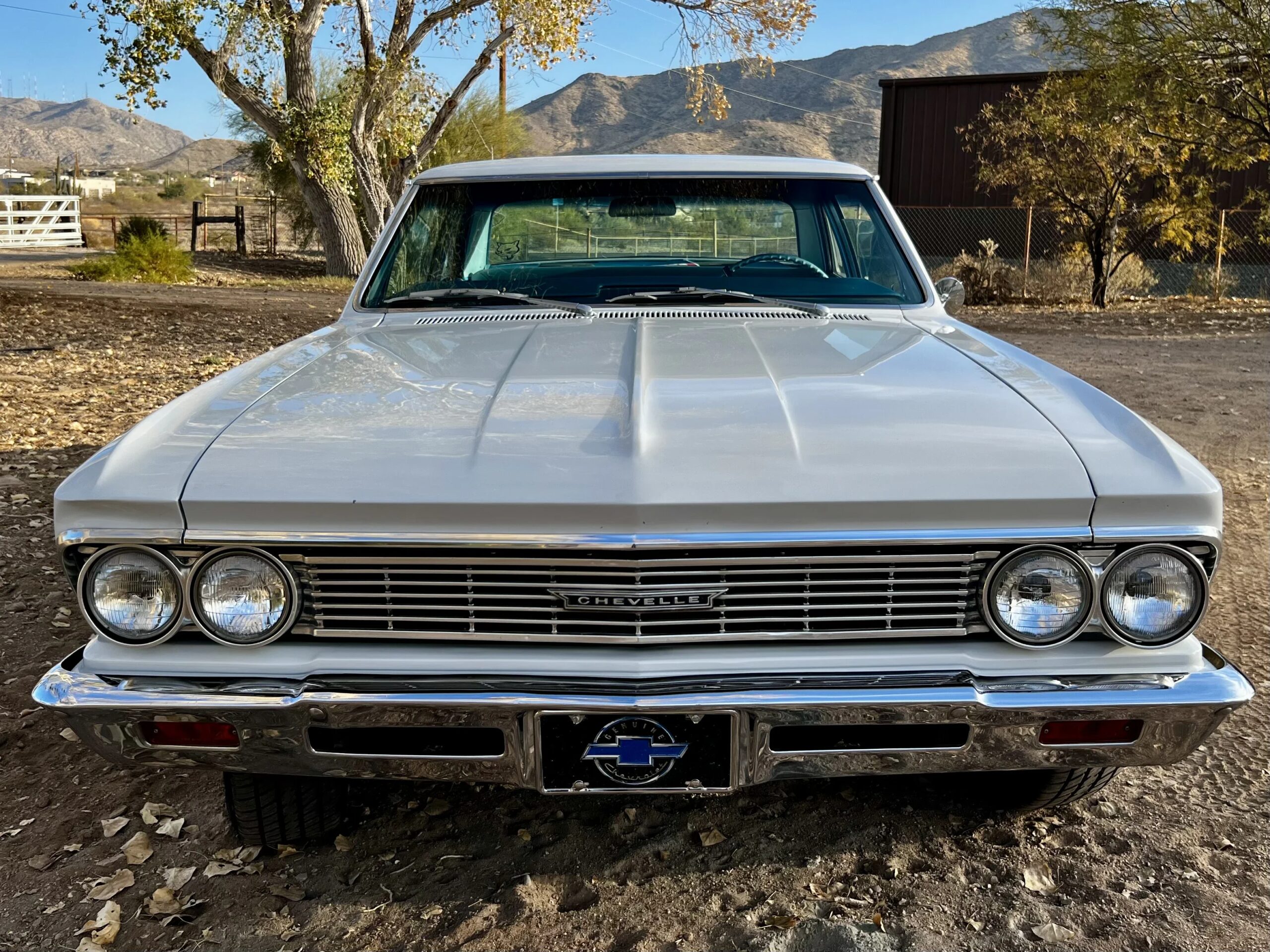 Chevrolet-Chevelle-300-1966-White-Blue-2