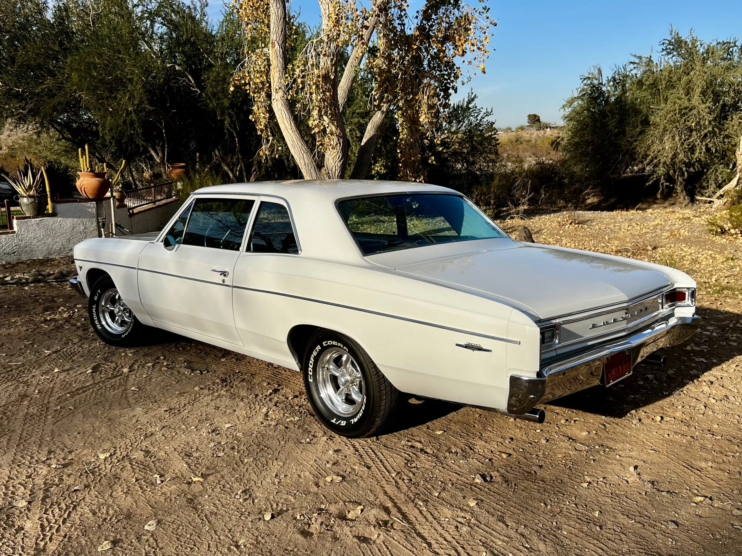 Chevrolet-Chevelle-300-1966-White-Blue-3
