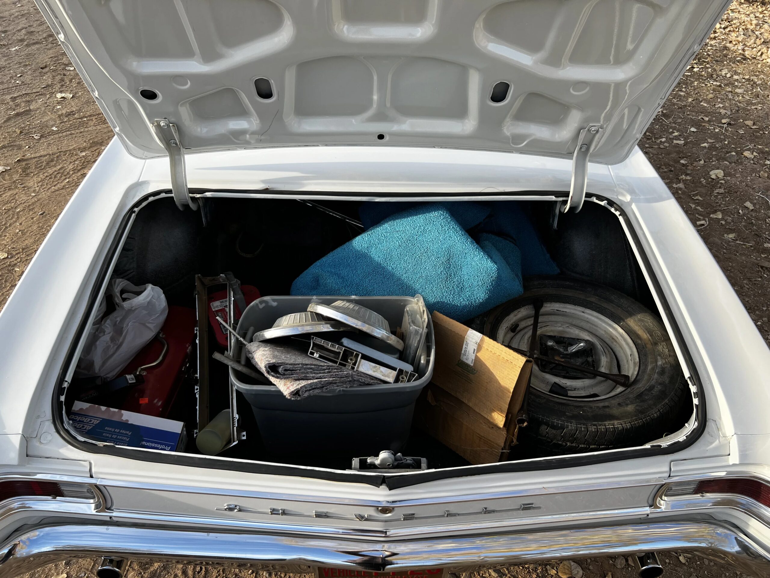 Chevrolet-Chevelle-300-1966-White-Blue-9