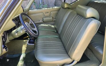 Chevrolet-Chevelle-malibu-1969-Green-Green-10