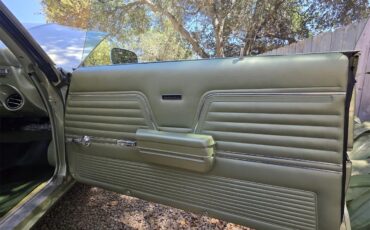 Chevrolet-Chevelle-malibu-1969-Green-Green-17