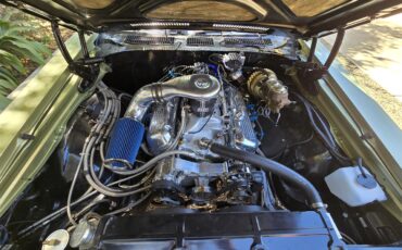 Chevrolet-Chevelle-malibu-1969-Green-Green-19