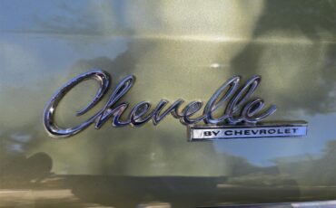 Chevrolet-Chevelle-malibu-1969-Green-Green-23