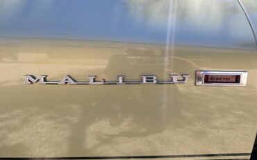 Chevrolet-Chevelle-malibu-1969-Green-Green-24