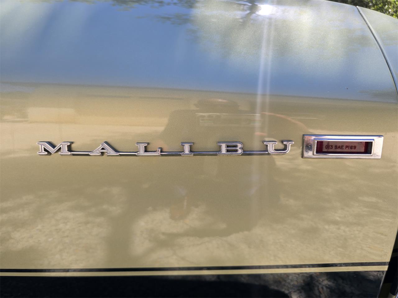 Chevrolet-Chevelle-malibu-1969-Green-Green-24