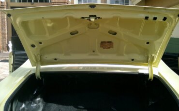 Chevrolet-Chevelle-malibu-1969-Yellow-Black-43