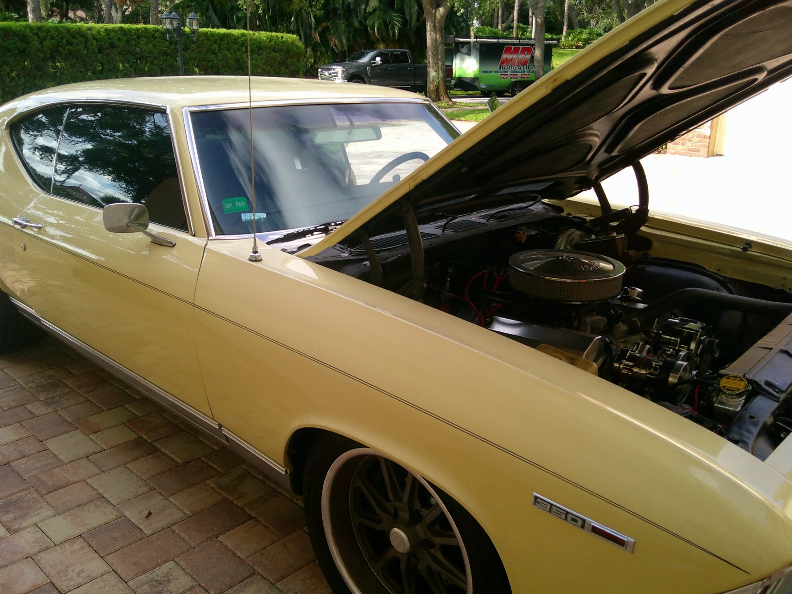 Chevrolet-Chevelle-malibu-1969-Yellow-Black-6
