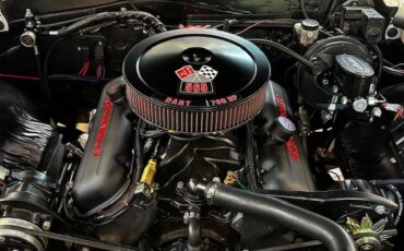 Chevrolet-Chevelle-ss-1966-White-Black-6