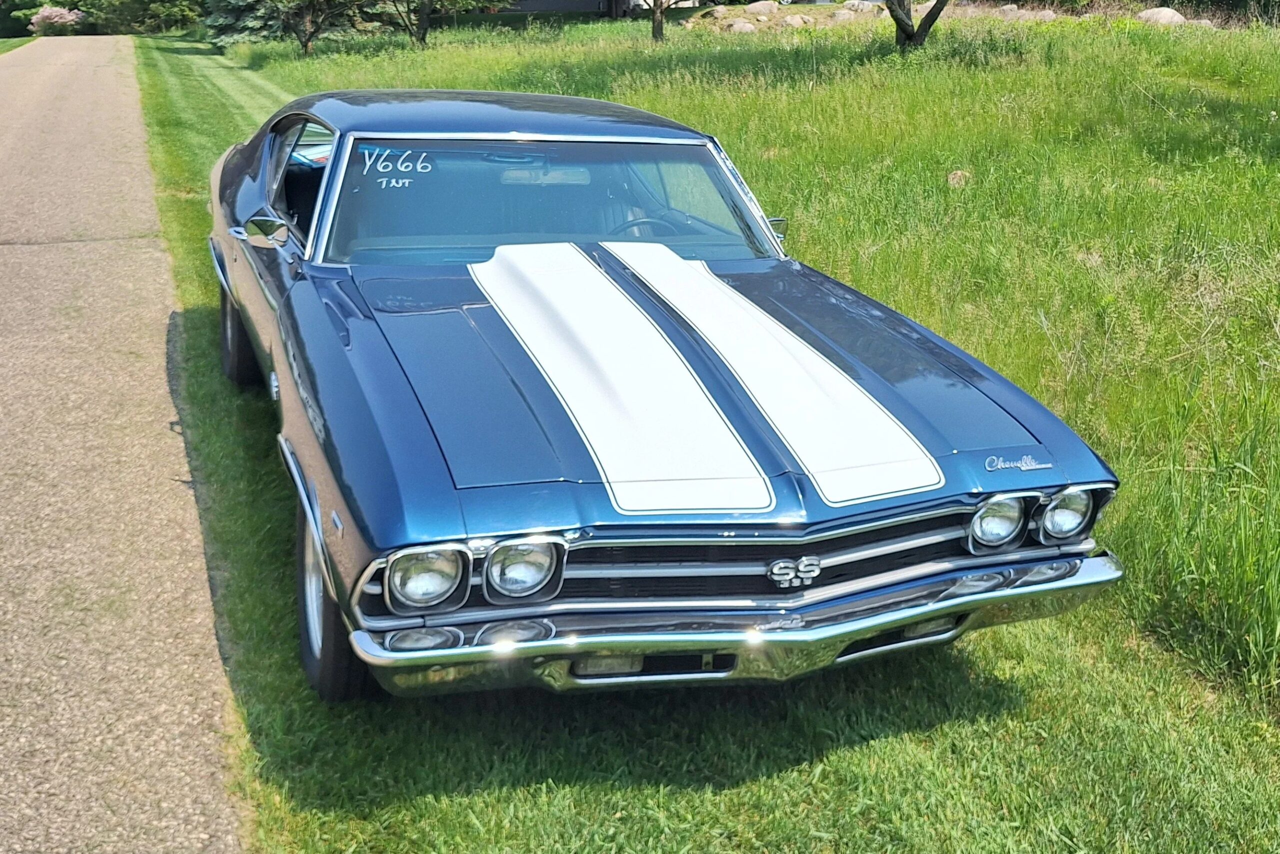 Chevrolet-Chevelle-ss-1969-Blue-Black-1