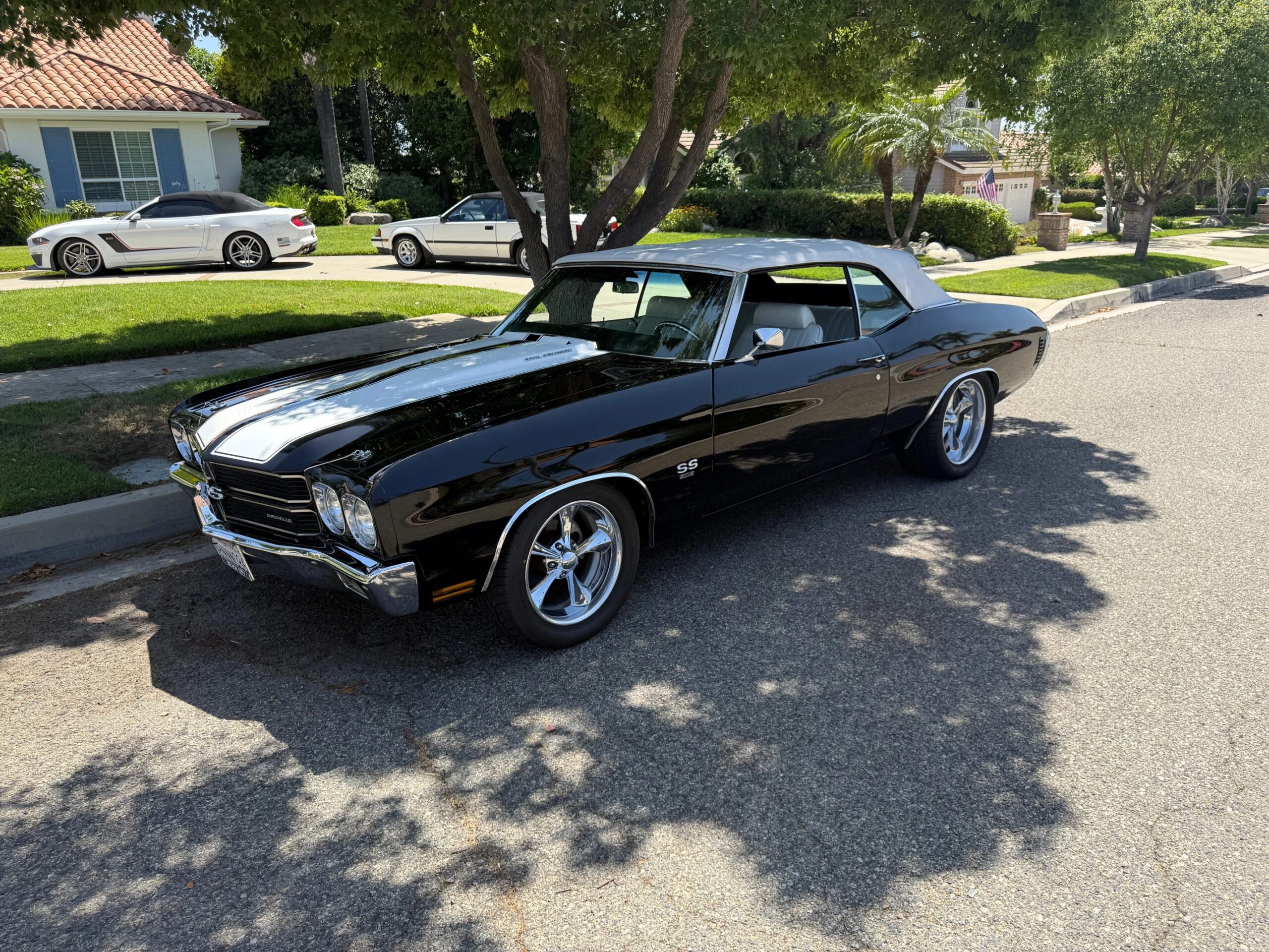 Chevrolet-Chevelle-ss-1970-Black-White-2
