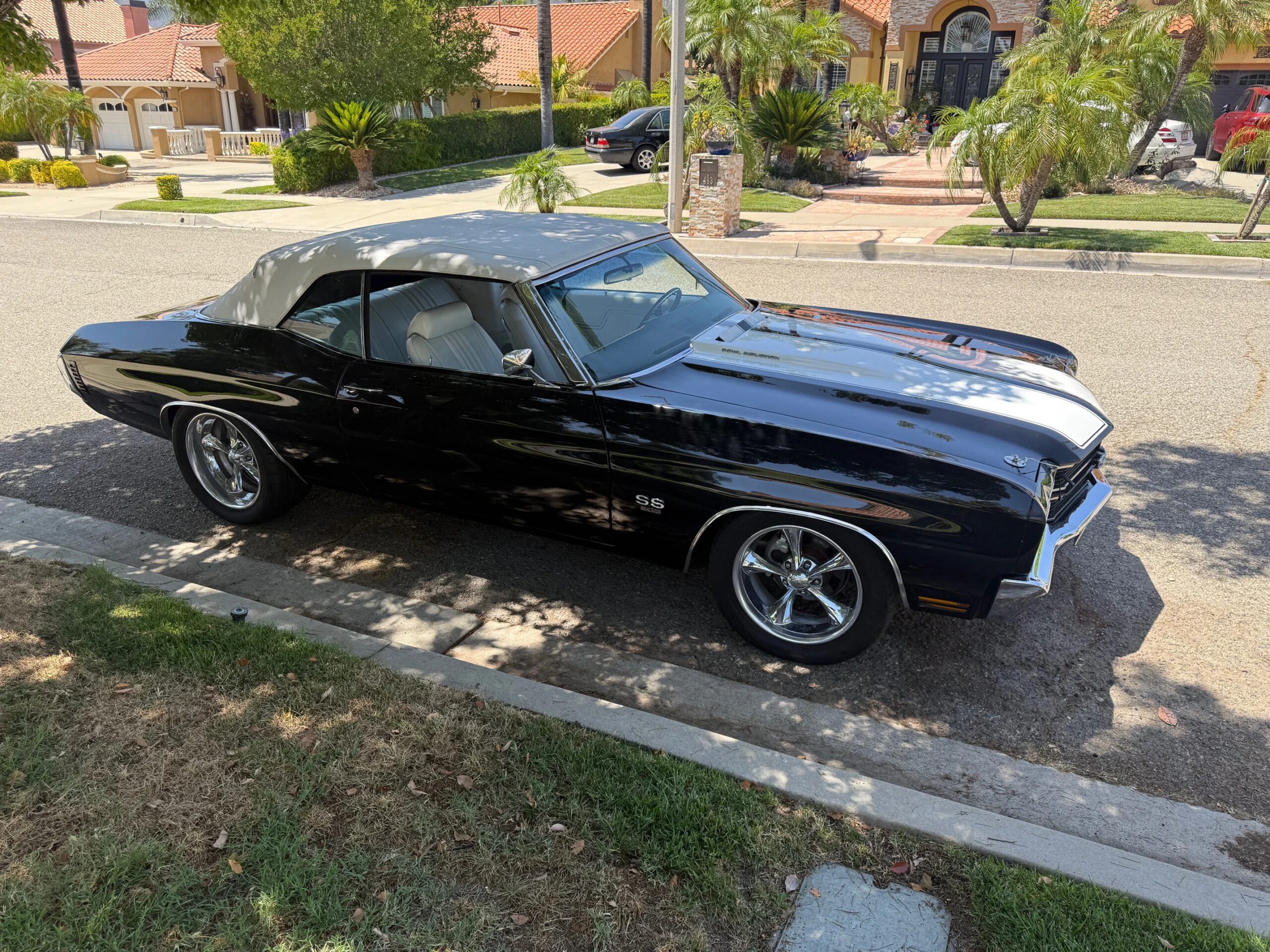 Chevrolet-Chevelle-ss-1970-Black-White-3