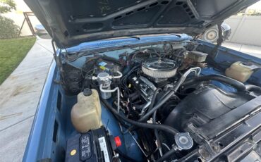 Chevrolet-Ck-1500-1985-Blue-Nlue-13