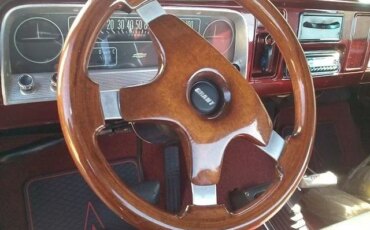 Chevrolet-Ck-truck-2wd-regular-cab-1500-1966-Custom-Custom-19