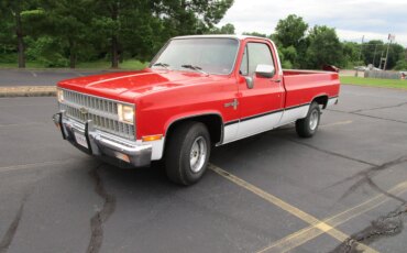 Chevrolet-Ck-truck-2wd-regular-cab-1500-1981-Red-Red-12