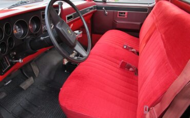 Chevrolet-Ck-truck-2wd-regular-cab-1500-1981-Red-Red-13