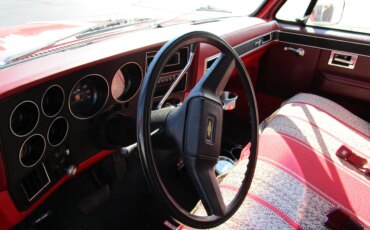 Chevrolet-Ck-truck-2wd-regular-cab-1500-1981-Red-Red-17