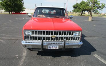 Chevrolet-Ck-truck-2wd-regular-cab-1500-1981-Red-Red-19