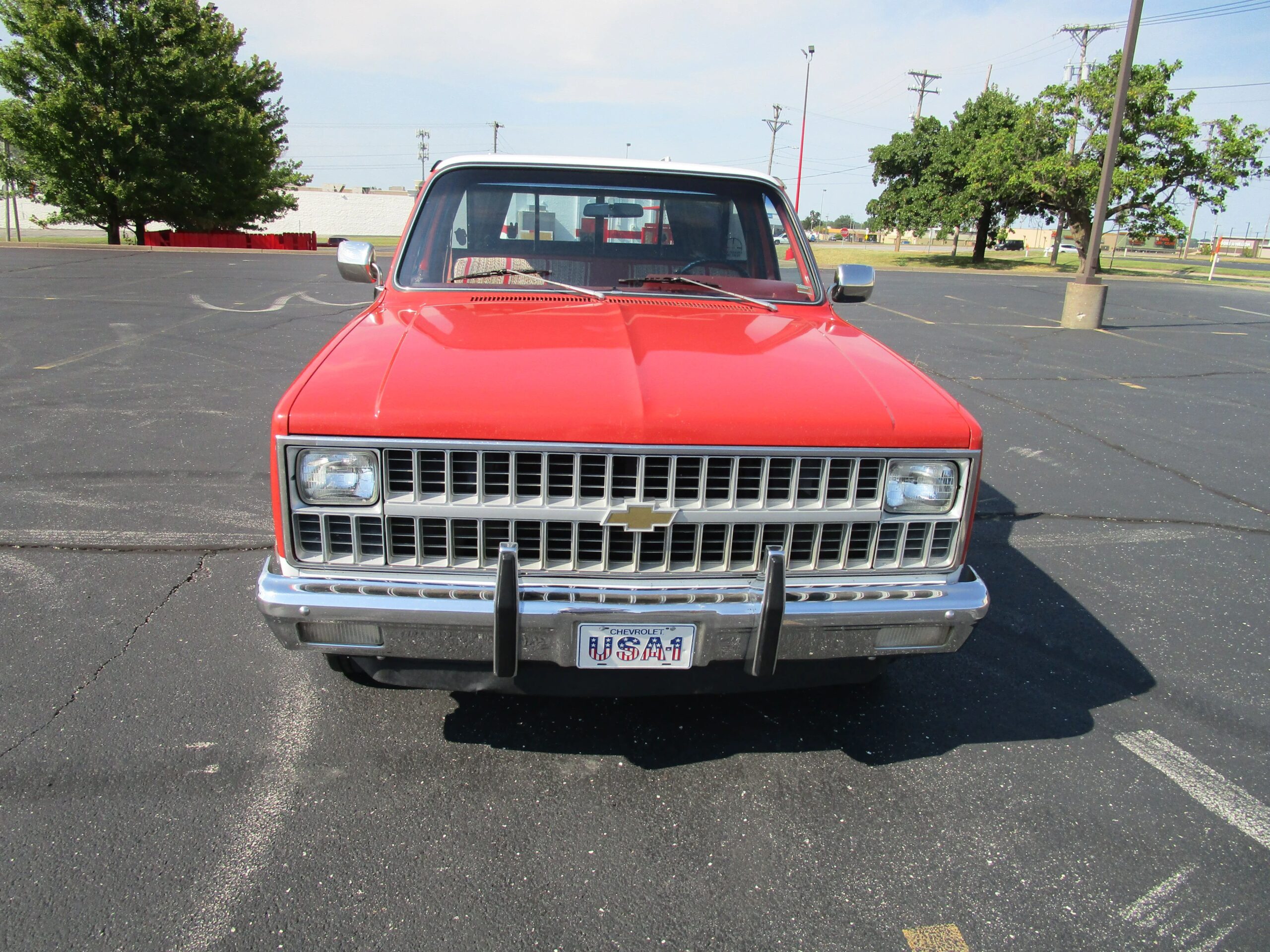 Chevrolet-Ck-truck-2wd-regular-cab-1500-1981-Red-Red-19