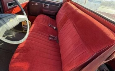 Chevrolet-Ck-truck-2wd-regular-cab-1500-1981-Red-Red-2