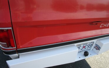 Chevrolet-Ck-truck-2wd-regular-cab-1500-1981-Red-Red-27