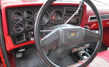 Chevrolet-Ck-truck-2wd-regular-cab-1500-1981-Red-Red-28