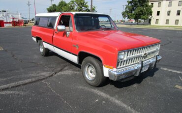 Chevrolet-Ck-truck-2wd-regular-cab-1500-1981-Red-Red-6