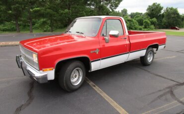 Chevrolet-Ck-truck-2wd-regular-cab-1500-1981-Red-Red-7