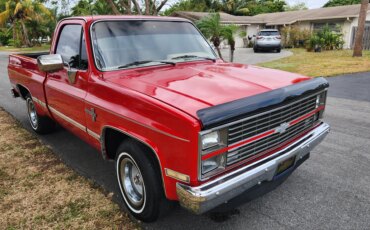 Chevrolet-Ck-truck-2wd-regular-cab-1500-1982-Red-Tan-1