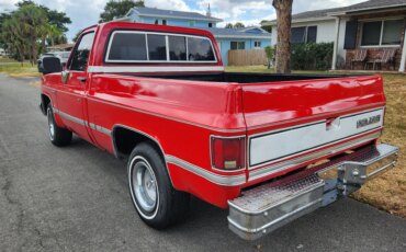 Chevrolet-Ck-truck-2wd-regular-cab-1500-1982-Red-Tan-11