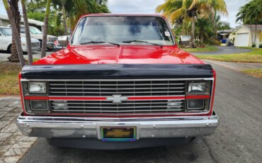 Chevrolet-Ck-truck-2wd-regular-cab-1500-1982-Red-Tan-2
