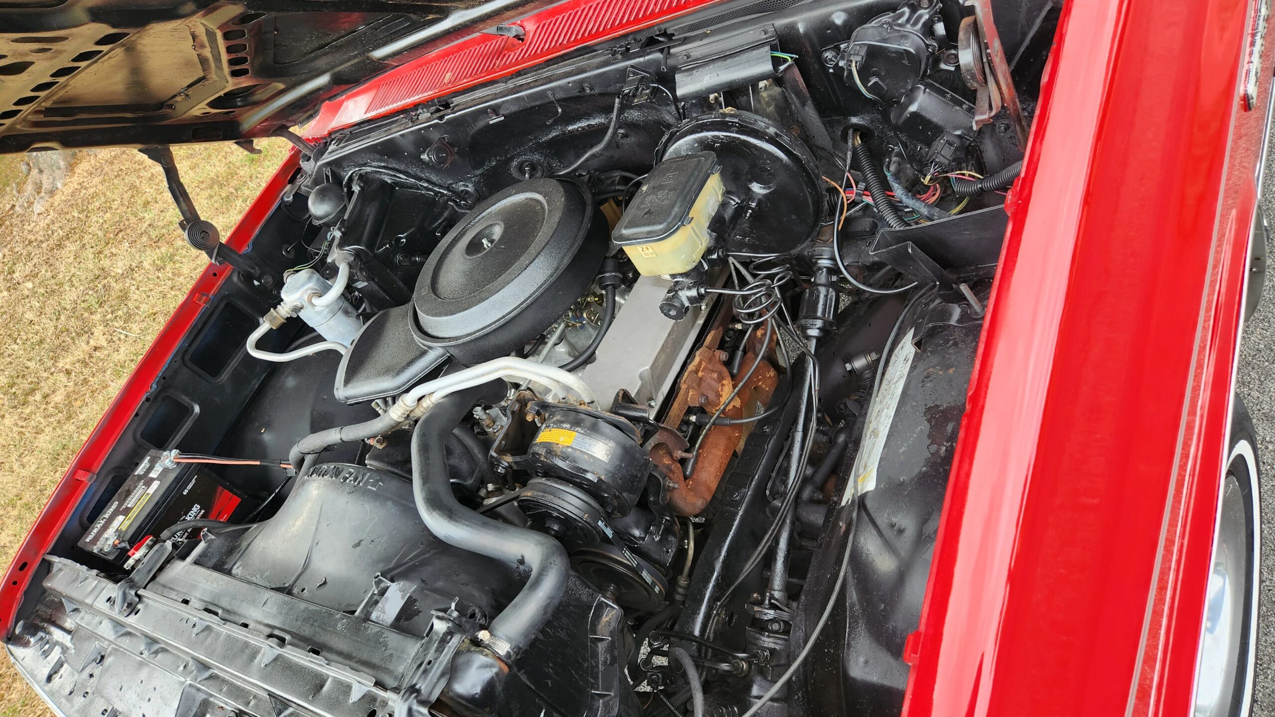 Chevrolet-Ck-truck-2wd-regular-cab-1500-1982-Red-Tan-20