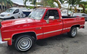Chevrolet-Ck-truck-2wd-regular-cab-1500-1982-Red-Tan-3